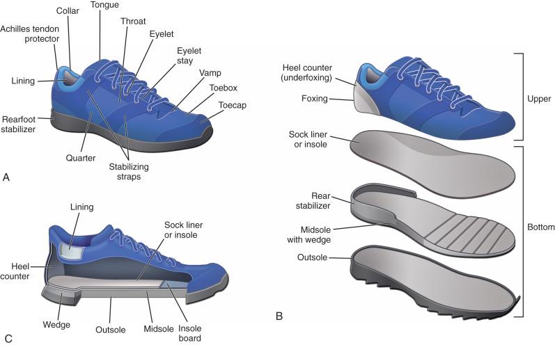 Fig. 116.4, Illustrations of athletic shoes. (A) Overview of external appearance. (B) Separation of shoe into component parts. (C) Sectional view of interior of shoe.