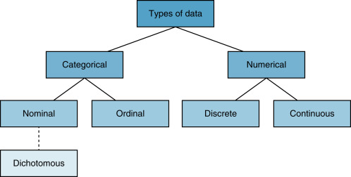 FIG. 18.1, Data classification types.