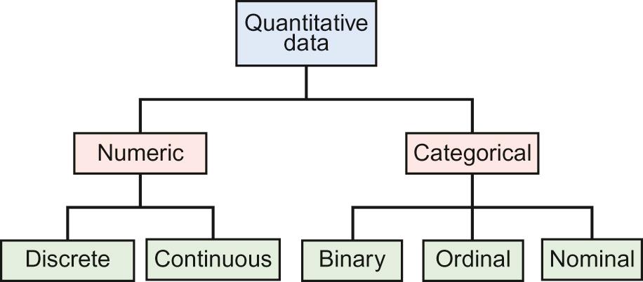 Fig. 38.1, Types of quantitative data.