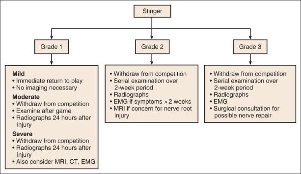 Fig. 127.4, Management of stingers based on grade of injury. CT, Computed tomography; EMG, electromyography; MRI, magnetic resonance imaging.