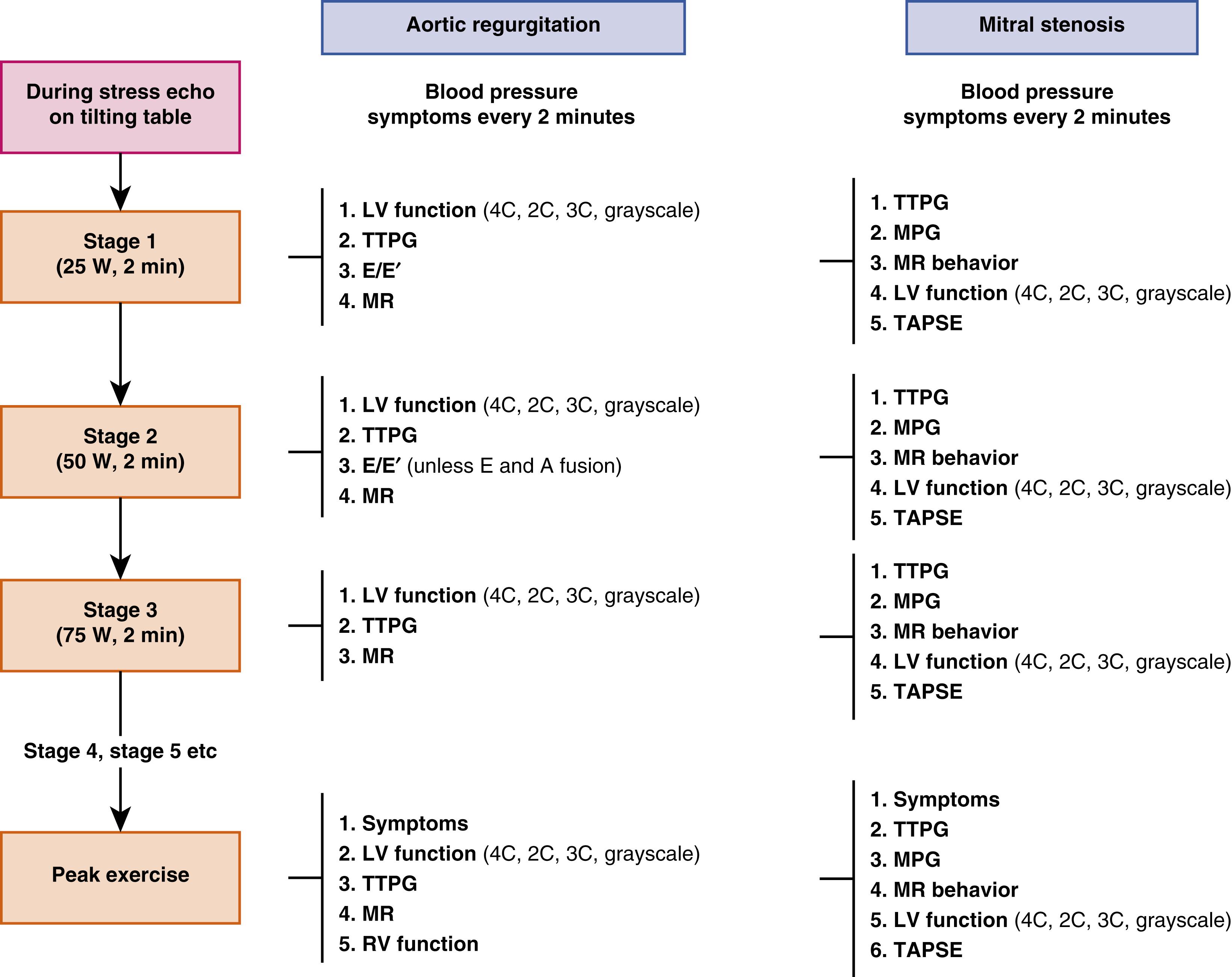 Figure 56.1, Exercise echocardiography protocol and parameters that can be assessed at each stage in aortic regurgitation and mitral stenosis. 2C, Two chamber; 3C, three chamber; 4C, four chamber; Ch, chamber; E/E′, ratio of early transmitral diastolic velocity to early tissue Doppler imaging velocity of the mitral annulus; LV, left ventricle; MPG, mean pressure gradient; MR, mitral regurgitation; RV, right ventricle; TAPSE, tricuspid annular plane systolic excursion; TTPG, transtricuspid pressure gradient