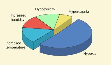 Fig. 22.10, Factors contributing to corneal oedema after sleep, revealing hypoxia to be the major cause.