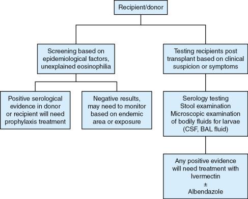 Fig. 32.1, Risk-based screening and symptom based diagnostic testing algorithm for Strongyloides in organ donors and organ recipients. CSF , cerebral spinal fluid; BAL , bronchoalveolar lavage.