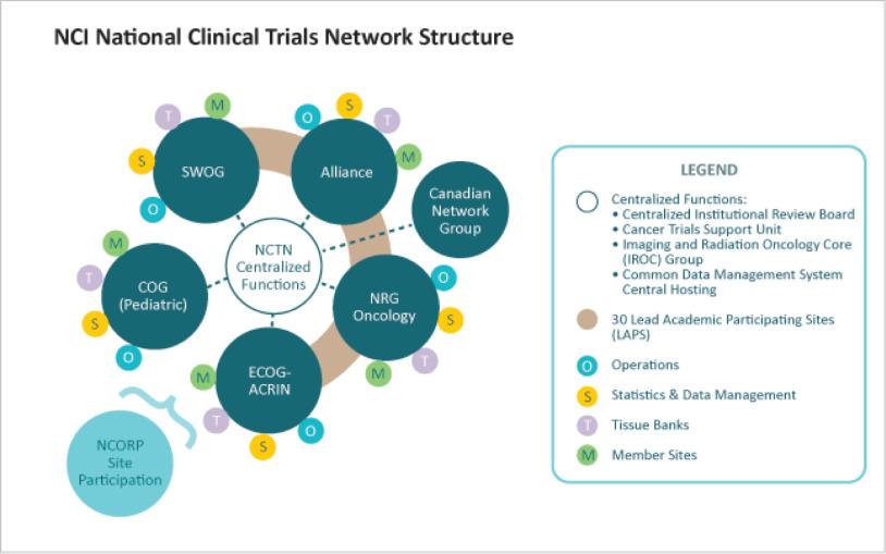 Figure 19.1, National Cancer Institute (NCI) National Clinical Trials Network (NCTN) structure. The key components of the NCTN are completely integrated into the other initiatives and components of the NCI clinical trial system, including the NCI Cancer Trials Support Unit, NCI Central Institutional Review Boards, other NCI-funded programs such as the NCI Community Oncology Research Program (NCORP) and the Minority/Underserved NCORP as well as NCI advisory and review committees (not illustrated in the figure), which help oversee the entire program. The six major components are (1) Network Group Operations Centers—four adult groups (Alliance, ECOG-ACRIN, NRG Oncology, and SWOG) and one pediatric group (Children's Oncology Group [COG])—which provide scientific leadership for developing and implementing multidisciplinary, multiinstitutional trials in a range of diseases and special populations with specific scientific strategy and goals; (2) Network Group Statistics and Data Management Centers, associated with specific Network Group Operations Centers, which provide the statistical expertise required to ensure effective scientific design and conduct of clinical trials, in addition to data management, data analysis, which provide support for leadership and expertise to facilitate incorporation of translational science into network group clinical trials; (4) Network Lead Academic Participating Sites, which provide scientific leadership in development and conduct of clinical trials in association with one or more adult network groups, as well as substantial accrual to clinical trials conducted across the entire NCTN; (5) Network Radiotherapy and Imaging Core Services Center, which provides scientific and technical expertise for incorporation of appropriate, integrated quality assurance and image data management for applicable clinical trials conducted by the NCTN that require specialized quality assurance or imaging data management and/or assessment; and the (6) Canadian Collaborating Clinical Trial Network (Canadian Cancer Trials Group), which will be capable of being a full partner with the US Network in conducting large-scale, multisite clinical trials. In addition, all NCTN Groups use a Common Data Management System to conduct NCTN trials.