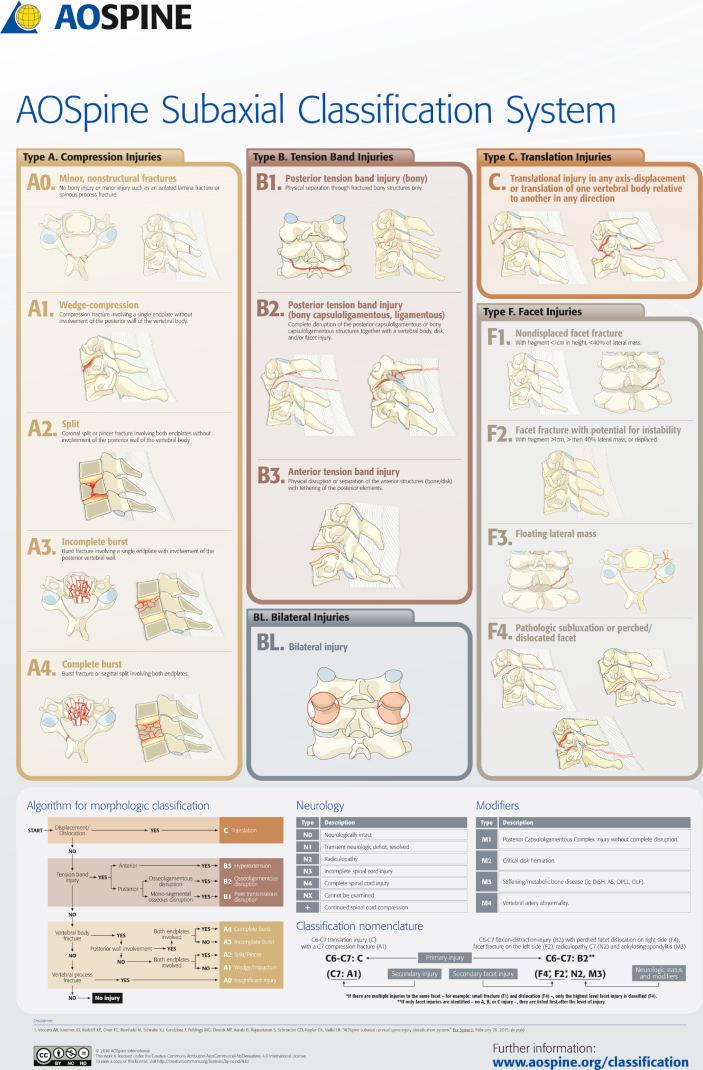 Fig. 32.4, AOSpine Subaxial Classification System.