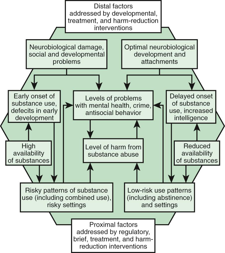 Fig. 140.3, Protection and risk model for distal and proximal determinants of risky substance use and related harms.