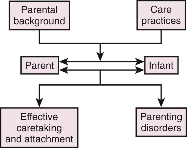 Fig. 42.1, Major influences on parent–infant attachment and outcomes.