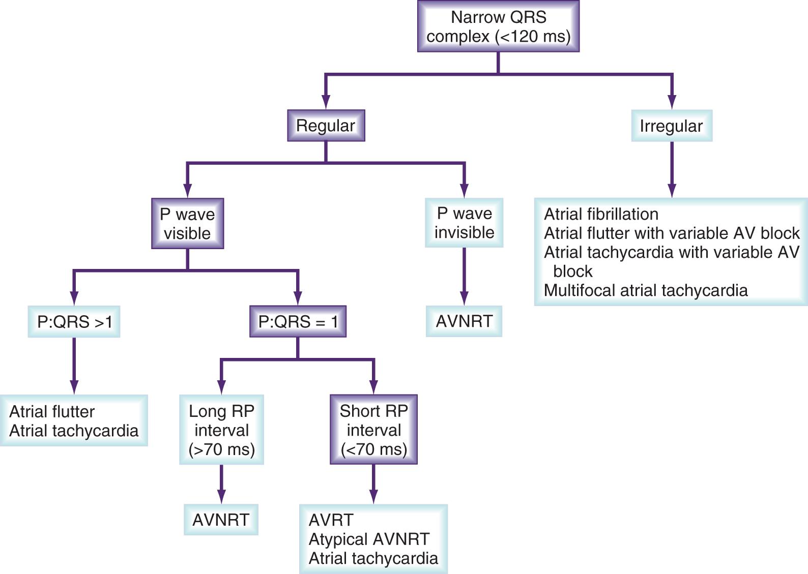 Fig. 71.2, Differential diagnosis for narrow QRS complex (presumably supraventricular) tachycardias.