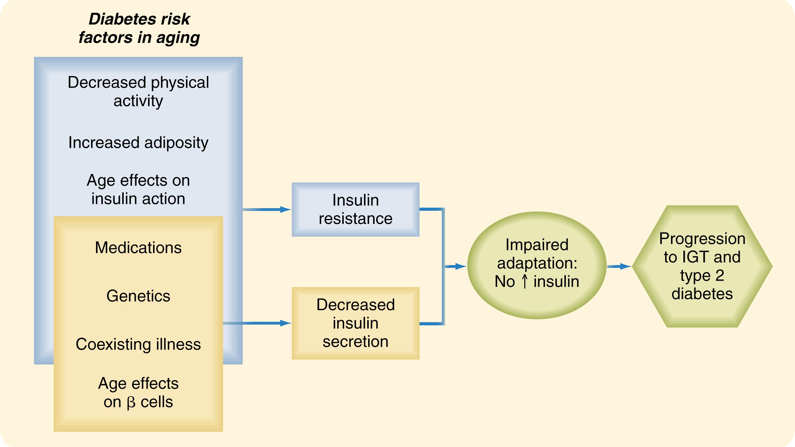 Fig. 13.6, The normal response to hyperglycemia is for the beta cell to adapt and secrete sufficient insulin to restore euglycemia. In aging, there is a decrease in insulin secretion and a probable increase in insulin resistance, which, when combined with comorbid illness, genetic factors, and medications, leads to a failure of this glucoregulatory process. (From Chang AM, Halter JB. Aging and insulin secretion. Am J Physiol Endocrinol Metab . 2003;284:E7–E12.) IGT , Impaired glucose tolerance.