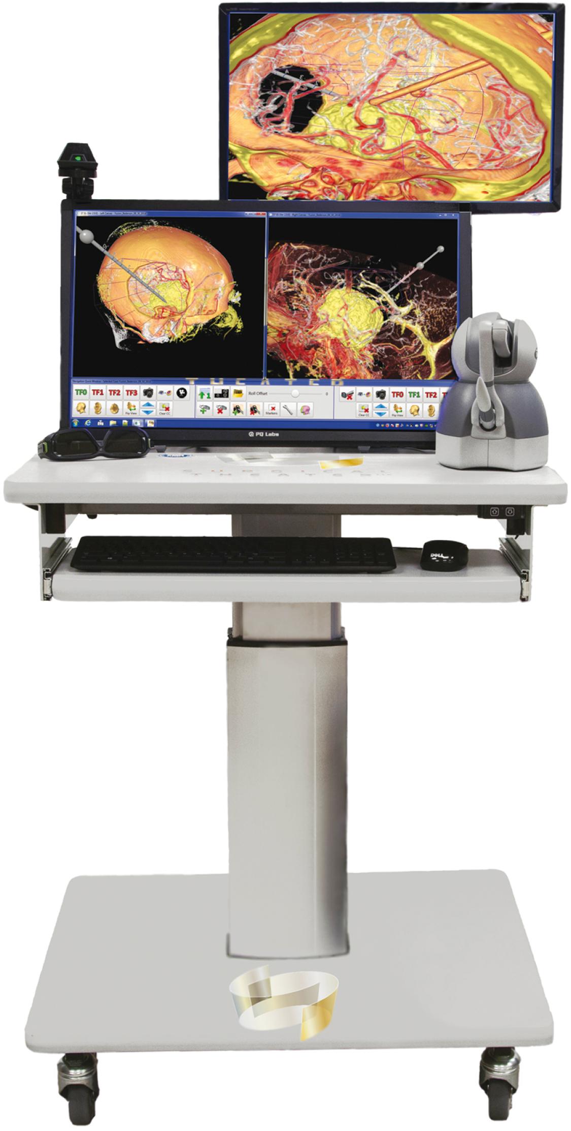 Figure 27.2, Surgical Theater simulation system.