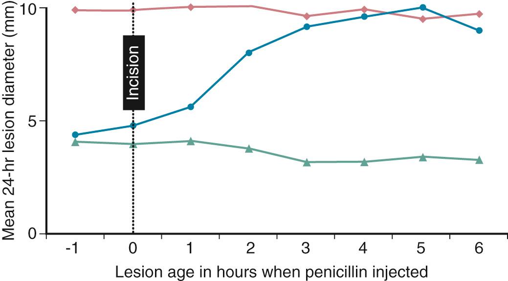 FIG. 313.1, Importance of the timing of antimicrobial administration.