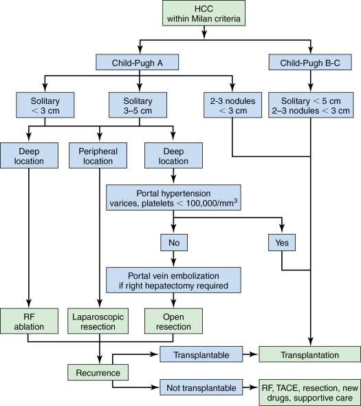 Figure 7-3, Algorithm for management of hepatocellular carcinoma within Milan criteria used at Henri-Mondor Hospital, Paris.