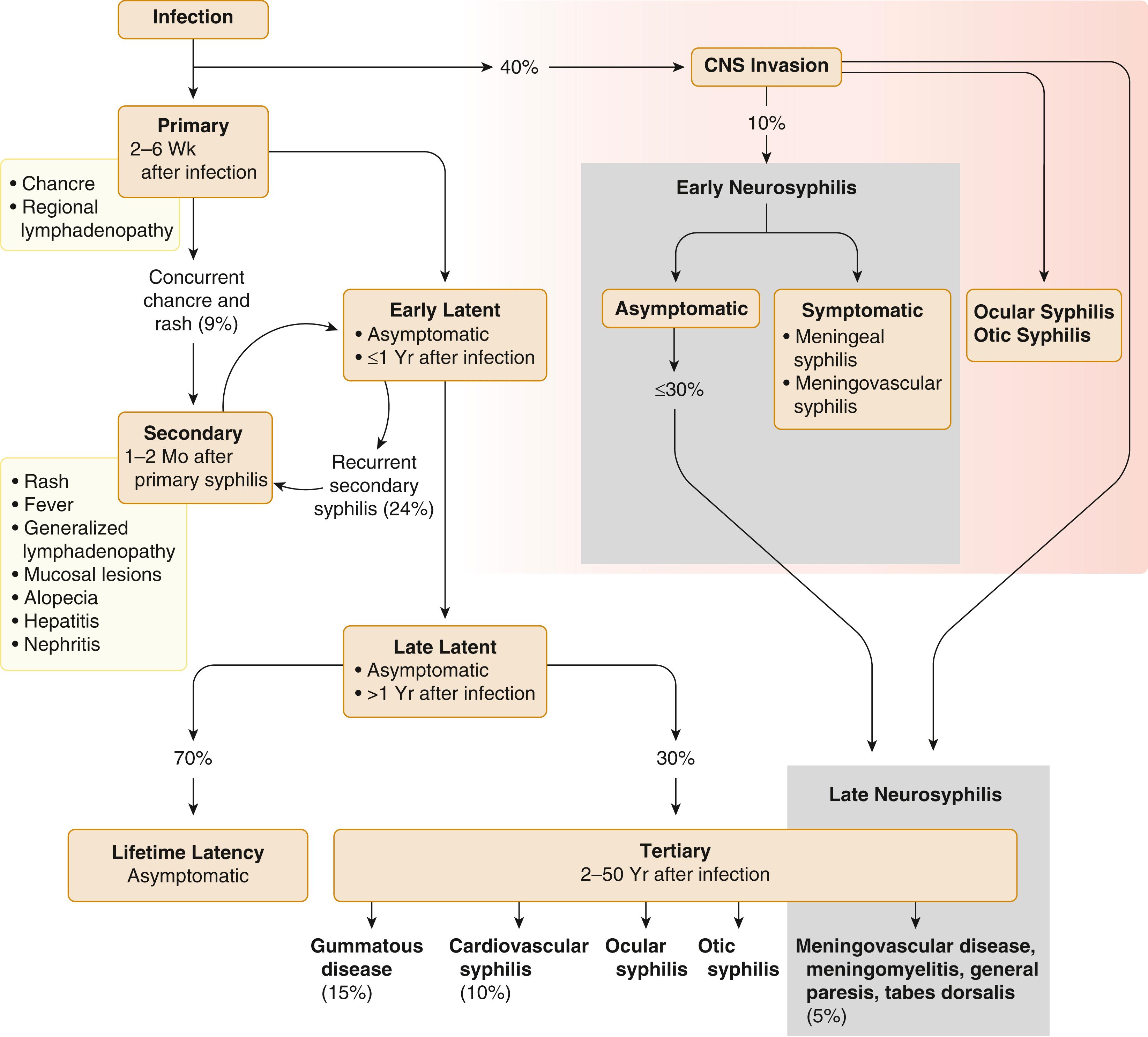 FIGURE 295-2, Natural history of syphilis infection.