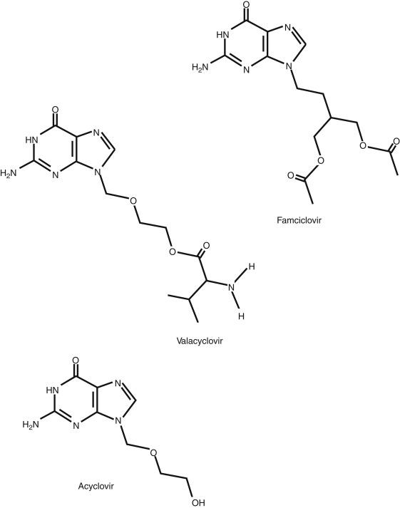 Fig. 11.1, Acyclovir, valacyclovir, famciclovir.