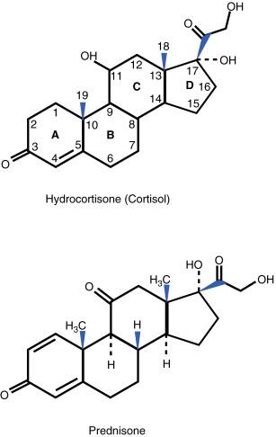 Fig. 13.1, Corticosteroid structure—prednisone, cortisol.