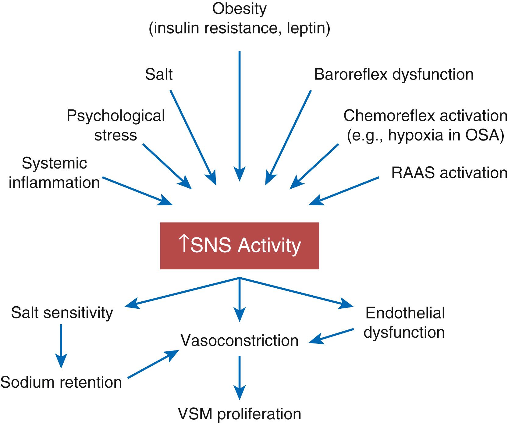 FIGURE 26.8, Demonstration of sympathetic overactivity leading to salt sensitivity due to a reduction in the activity of serine/threonine-protein kinase WNK4.