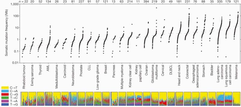 Figure 44-1, Somatic mutation frequencies observed in exomes from 3083 tumor-normal pairs. Each dot corresponds to a tumor-normal pair, with vertical position indicating the total frequency of somatic mutations in the exome. Tumor types are ordered by their median somatic mutation frequency, with the lowest frequencies (left) found in pediatric tumors and hematologic malignancies, and the highest (right) in tumors induced by carcinogens such as tobacco smoke and ultraviolet light. Mutation frequencies vary more than 1000-fold between lowest and highest across different cancers and also within several tumor types. The bottom panel shows the relative proportions of the six different possible base-pair substitutions, as indicated in the label on the left. AML, Acute myeloblastic leukemia; CLL, chronic lymphocytic leukemia; DLBCL, diffuse large B-cell lymphyoma.