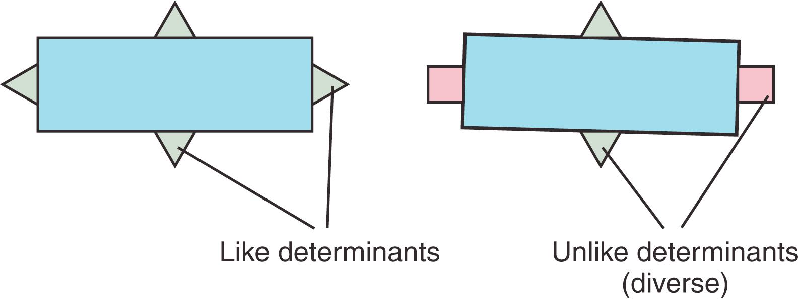 Fig. 1.1, Antigens and antigenic determinants. An antigenic molecule may be considered to consist of an immunologically “inert” carrier component and one or more antigenic determinants of similar type (left) or diverse types (right) .