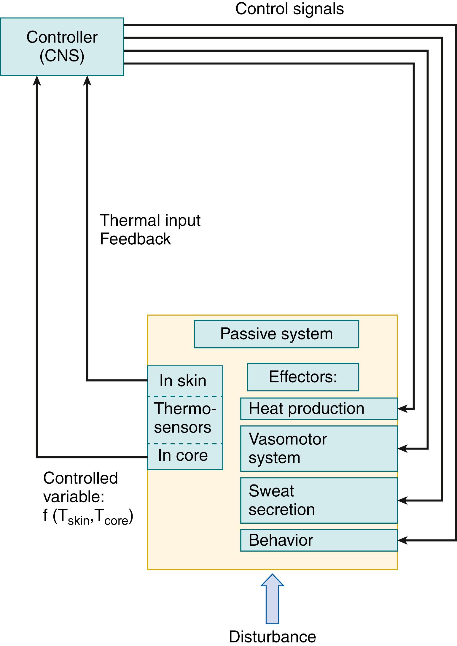 Fig. 42.1, Diagram representing the biocybernetic concept of temperature regulation in humans. Temperature is sensed at various sites of the body, and the temperature signals are fed into the central controller (multiple-input system). CNS , Central nervous system.