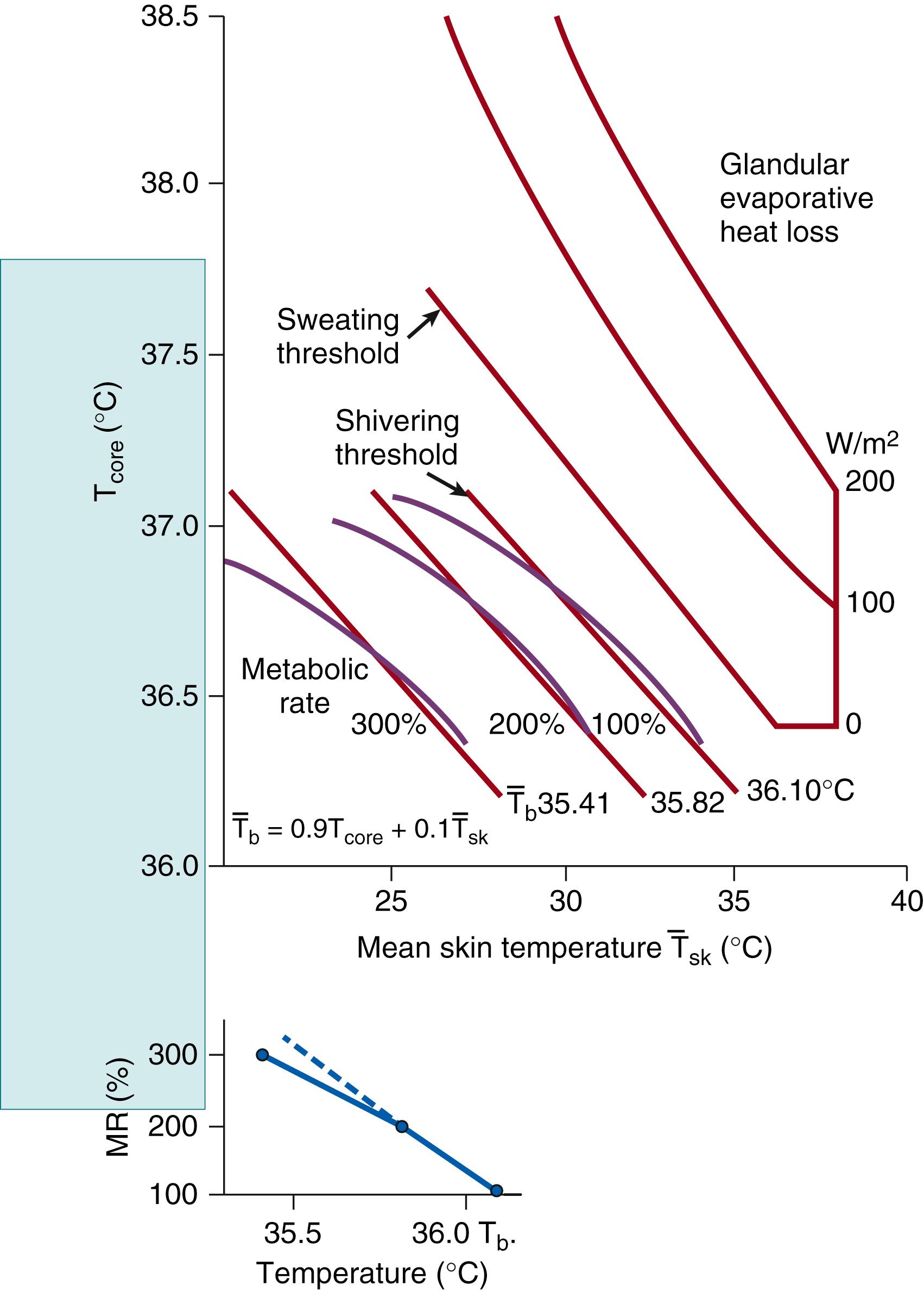 Fig. 42.11, Contour plot of metabolic rate and sweat rate (glandular evaporative heat loss) as a function of core temperature and mean skin temperature. The curved lines for metabolic rate were approximated by straight lines (and so might be the 100 and 200 W curves for evaporative heat loss). Each straight line represents all pairs of core and skin temperature with equal T b calculated from the inset equation. Green area indicates range of mean skin temperatures relevant for the comparison of shivering threshold values. Percentage metabolic rate (MR) in relation to T b is shown at the bottom of the figure.