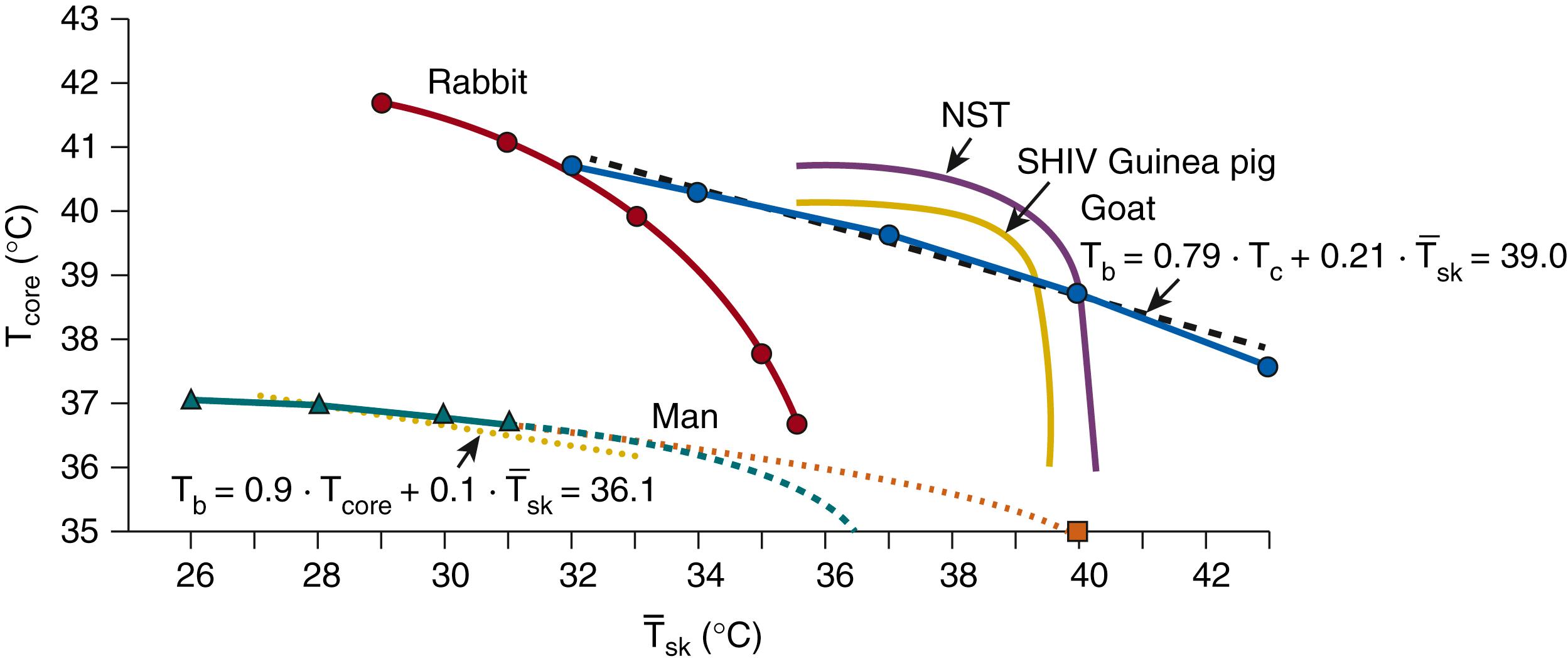Fig. 42.12, Thresholds for shivering (SHIV) and nonshivering thermogenesis (NST) as a function of core (T core ) and mean skin temperature ( T˙sk T˙sk ) . Shivering threshold contour lines from adult humans, rabbits, 133 goats, 20 and 4-week-old guinea pigs, 3 as well as the contour line representing threshold conditions for NST in newborn guinea pigs, are compared. 134 Note that core temperature is the local hypothalamus temperature in the case of rabbits and newborn guinea pigs and the spinal cord temperature in the case of 4-week-old guinea pigs. The yellow-dotted and black-dashed straight lines represent pairs of T core and T̅ sk with equal weighted mean body temperature T b , 36.1 and 39, as calculated from the respective inset equations.