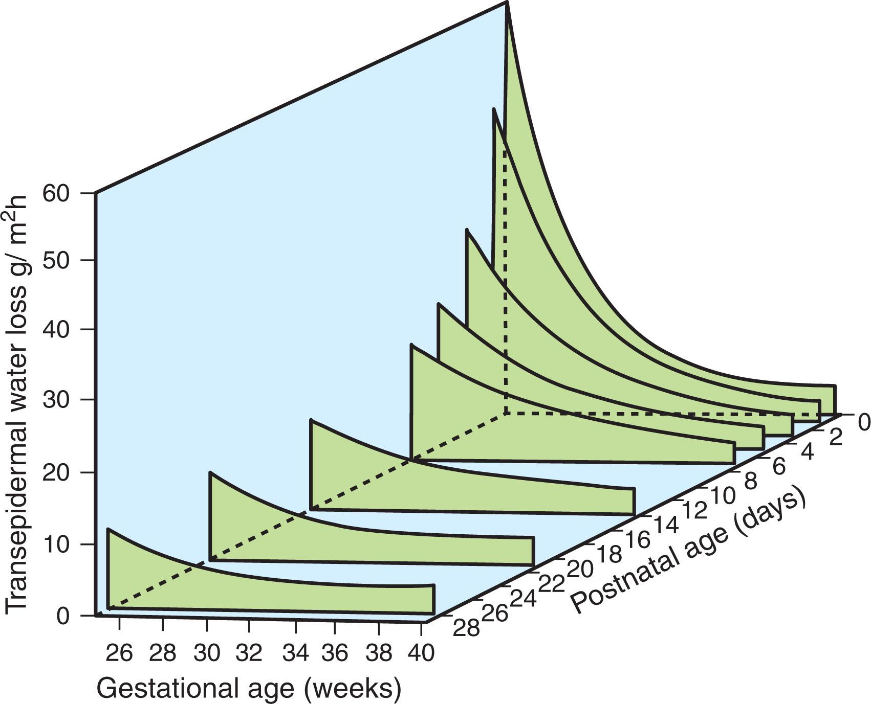 Fig. 17.2, Transepidermal water loss in relation to gestational age at birth and at different postnatal ages in appropriately grown infants.