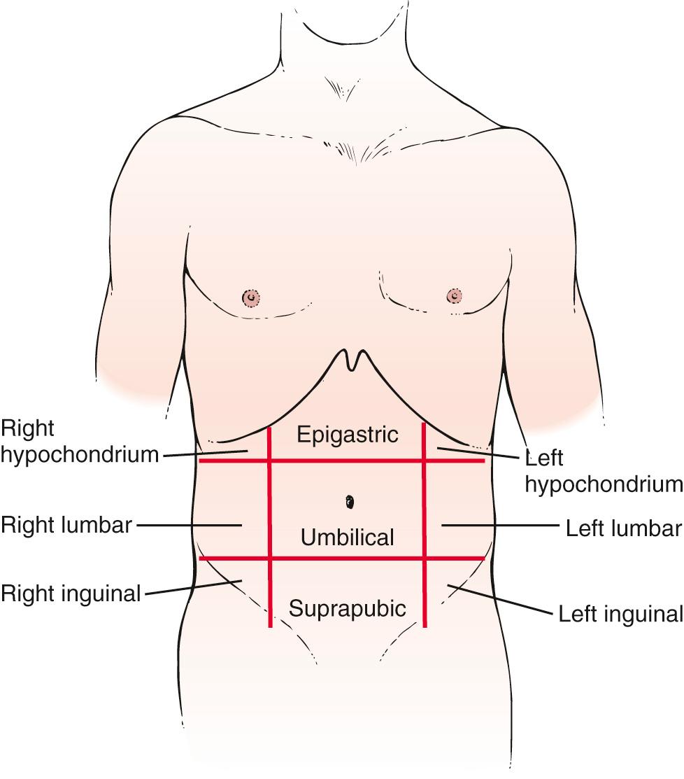 Fig. 17.2, The Nine Abdominal Areas.