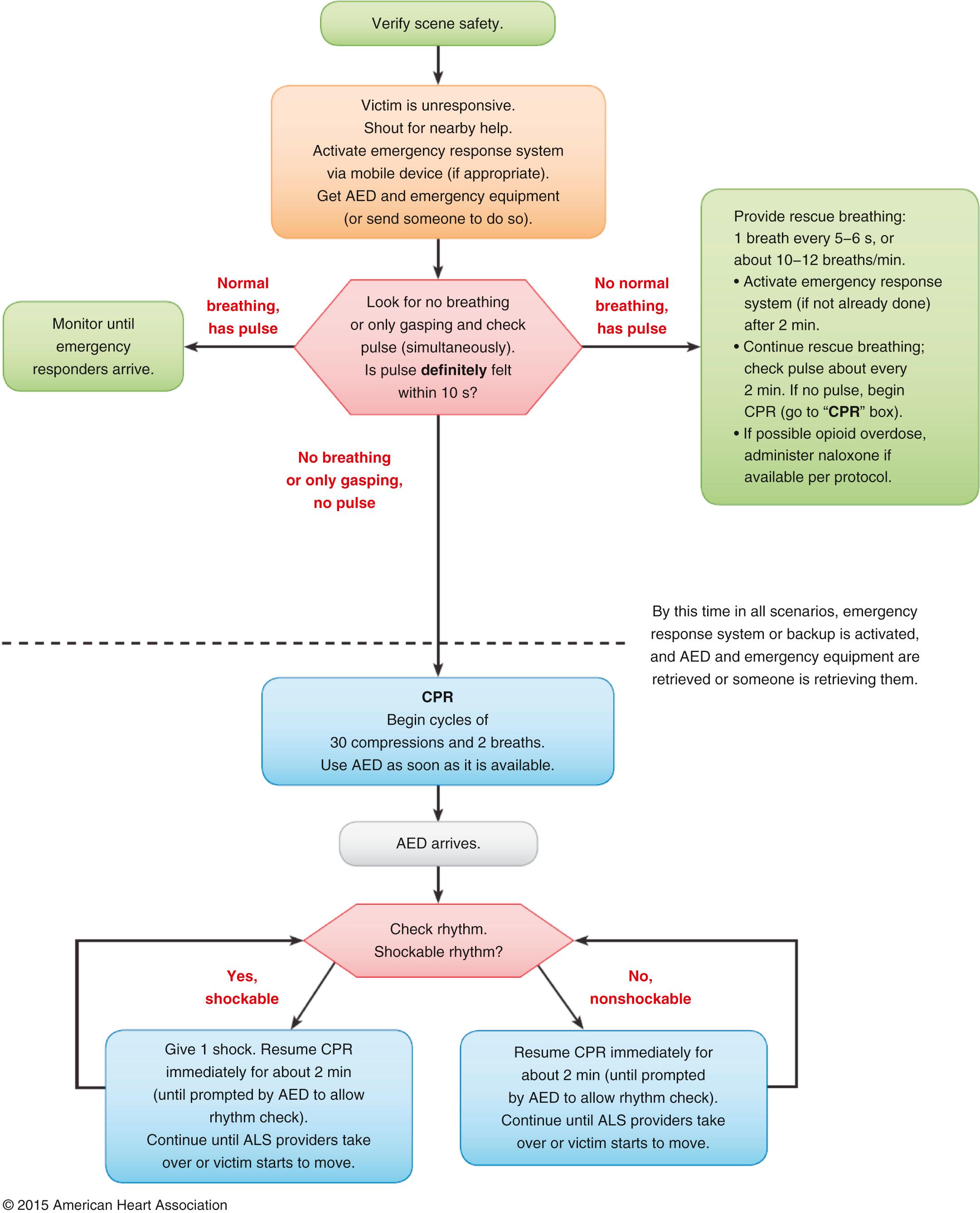 Fig. 26.1, Cardiopulmonary Resuscitation Overview for Adults.