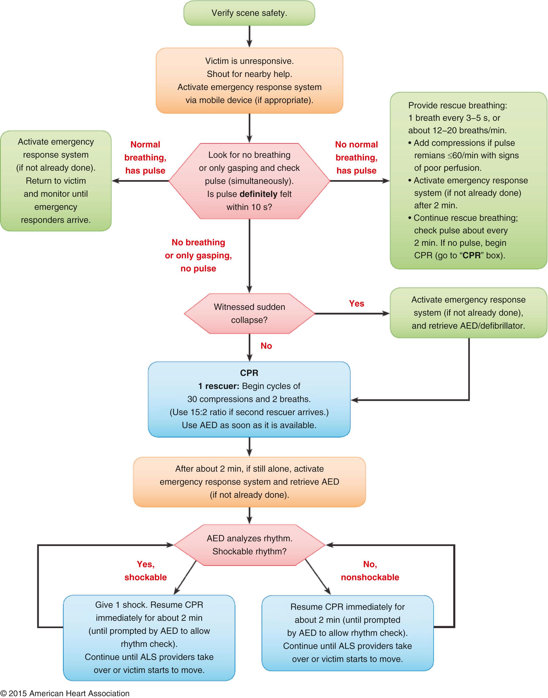 Fig. 26.2, Cardiopulmonary Resuscitation Overview for Pediatrics.