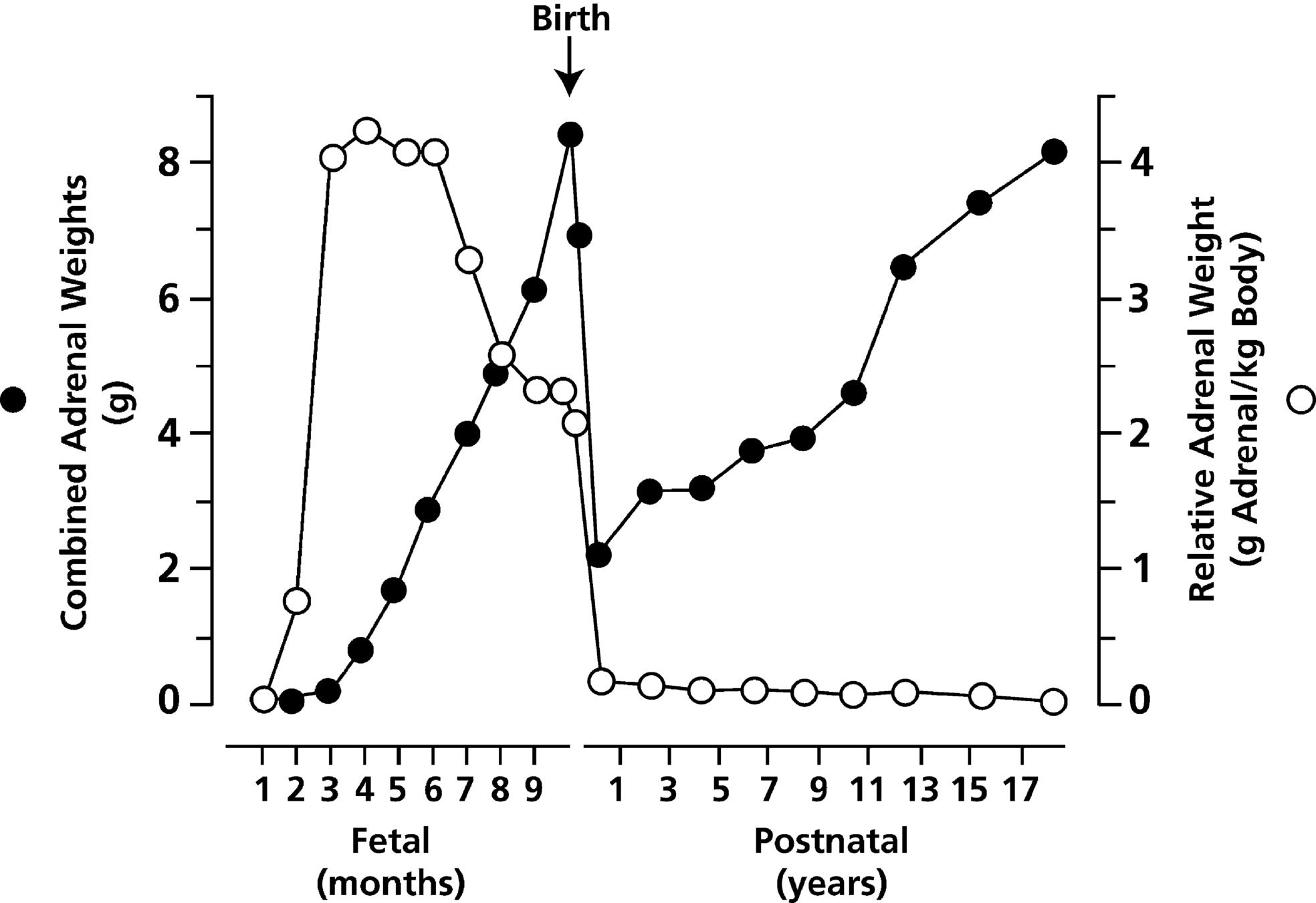 Fig. 14.2, Combined adrenal weight ( filled circles ) and relative adrenal weight ( open circles ) from the first trimester through to early adulthood.