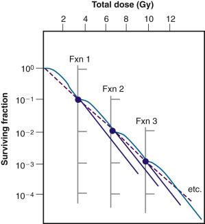 Fig. 1.11, Hypothetical multifraction survival curve (dashed line) for repeated 3.0 Gy fractions under conditions in which sufficient time between fractions is allowed for full sublethal damage recovery, and cell cycle and proliferative effects are negligible. The multifraction survival curve is shallower than its corresponding single dose curve (solid lines) and has no shoulder, that is, surviving fraction is an exponential function of total dose.