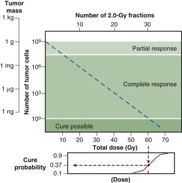 Fig. 1.2, The relationship between radiation dose and tumor cell survival during fractionated radiotherapy of a hypothetical 1-g tumor containing 10 9 clonogenic cells. Although a modest decrease in cell-surviving fraction can cause the tumor to shrink (partial response) or disappear below the limits of clinical detection (complete response), few if any cures would be expected until at least 9 logs of clonogenic cells have been killed. In this example, a total dose of at least 60 Gy delivered as daily 2-Gy fractions would be required to produce a tumor control probability of 0.37, assuming that each dose reduced the surviving fraction to 0.5.