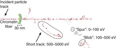 Fig. 1.4, Hypothetical α-particle track through an absorbing medium, illustrating the random and discrete energy deposition “events” along the track. Each event can be classified according to the amount of energy deposited locally, which, in turn, determines how many ionized atoms will be produced. A segment of chromatin is also shown, approximately to scale.