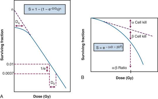 Fig. 1.7, A comparison of two mathematical models commonly used to fit cell survival curve data. (A) The single-hit, multi-target model and its associated parameters, D 0 , n, and D q . Although this model has since been invalidated, values for its parameters are still used for comparative purposes. (B) The linear-quadratic model and its associated parameters, α and β. This model provided the conceptual framework for current isoeffect formulae used in radiation therapy treatment planning.