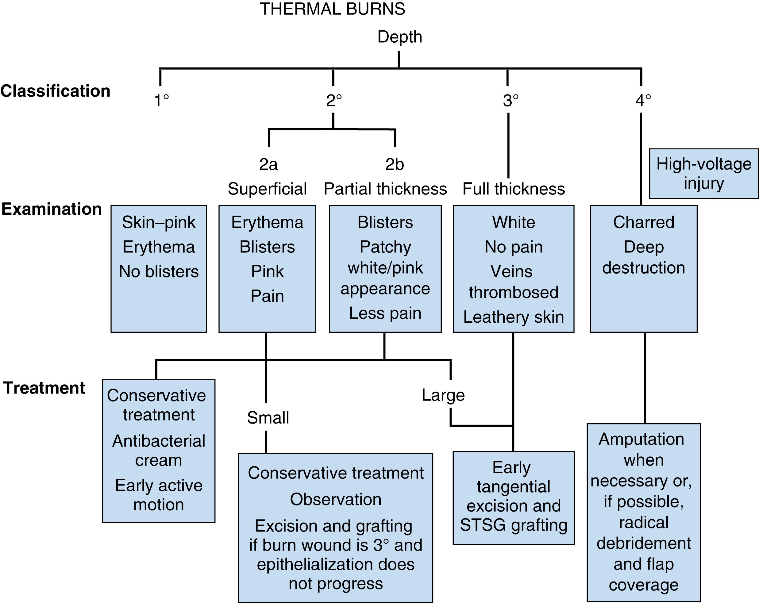 Fig. 57.2, Decision algorithm for the treatment of cutaneous burns. STSG, Split-thickness skin graft.