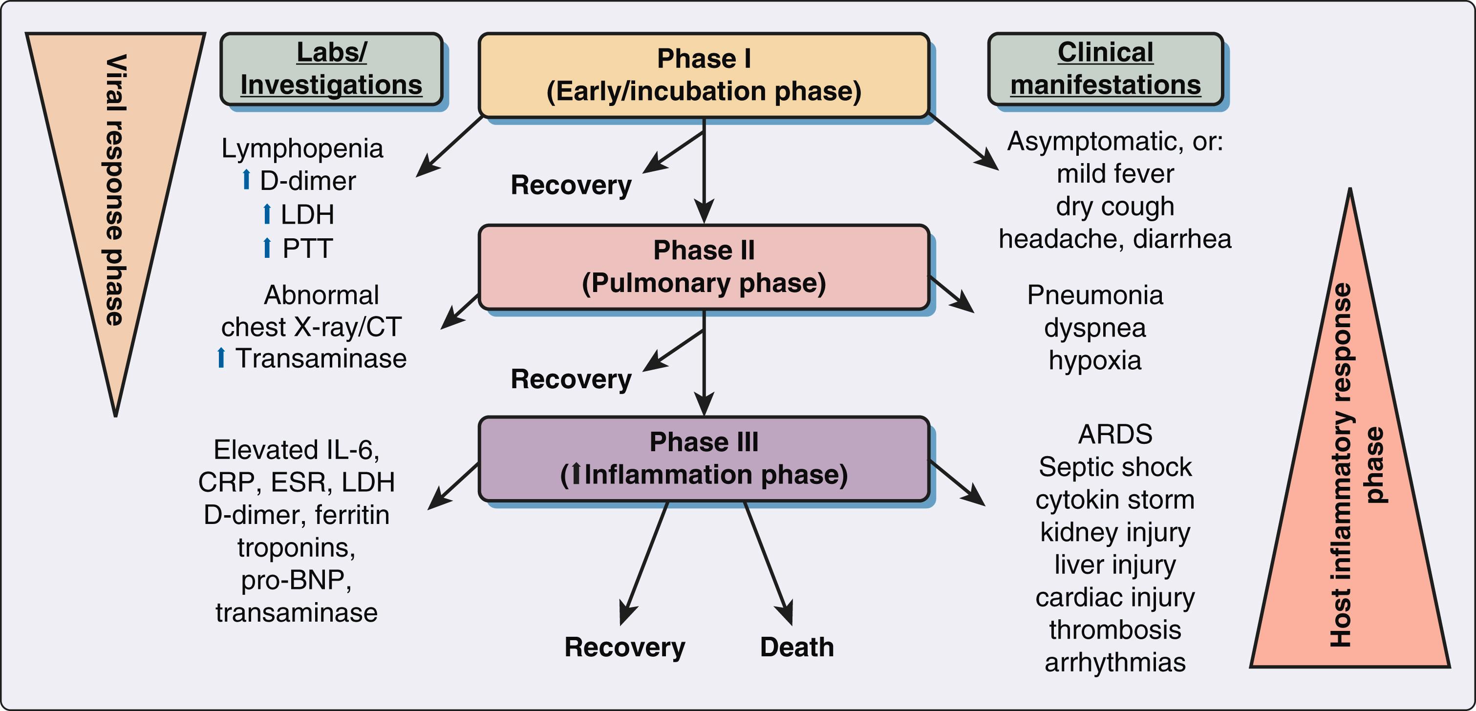 Figure 4.1, Clinical course with various phases of coronavirus disease 2019. ARDS , acute respiratory distress syndrome; CRP , C-reactive protein; CT , computed tomography; ESR , erythrocyte sedimentation rate; IL-6 , interleukin 6; LDH , lactate dehydrogenase; pro-BNP , pro-brain natriuretic peptide; PTT , partial thromboplastin time.