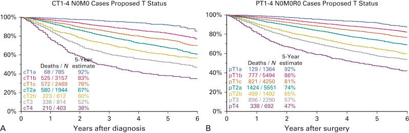 Fig. 25.1, Survival according to the clinical (A) and pathologic (B) T descriptors of the eighth edition of the tumor, node, and metastasis (TNM) classification of lung cancer.