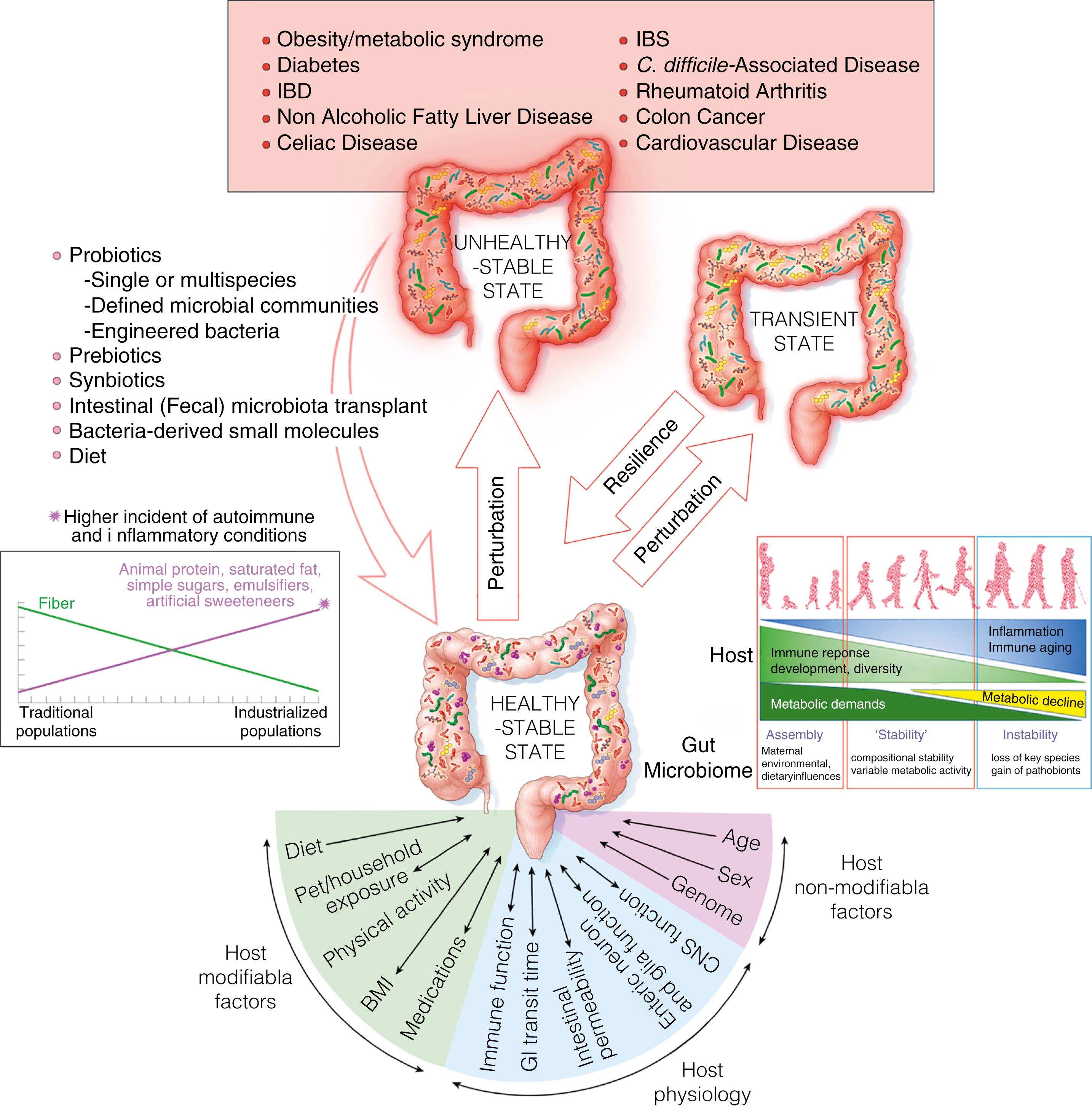 Fig. 3.1, Characteristics of intestinal microbiota: The figure outlines the modifiable and non-modifiable host factors influencing the intestinal microbiota, the reciprocal interactions between intestinal microbiota and host physiology, the resilience of the microbiome, as well as the consequence of deleterious shifts in the microbiome and the potential mechanisms to manipulate the microbiome.