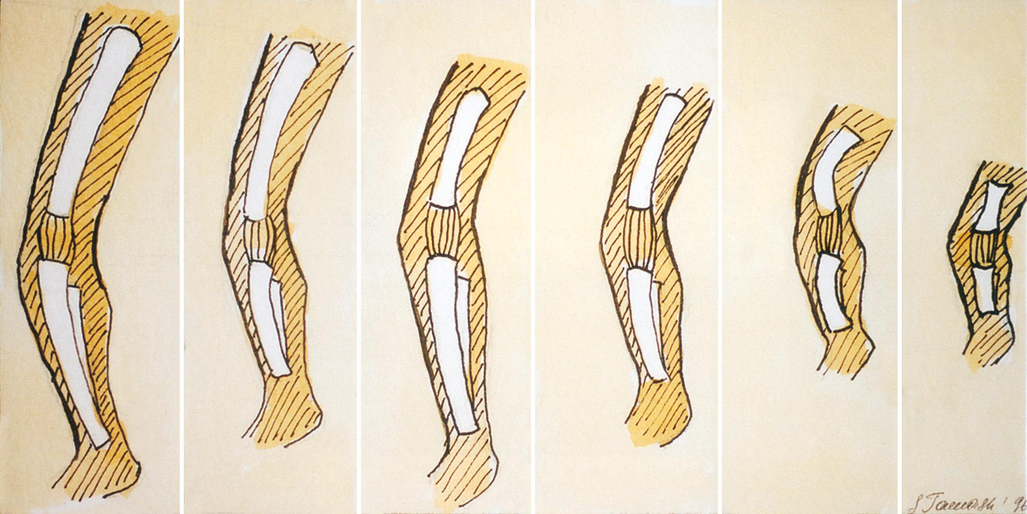 FIG. 40.4, Patterns of Limb Shortening.