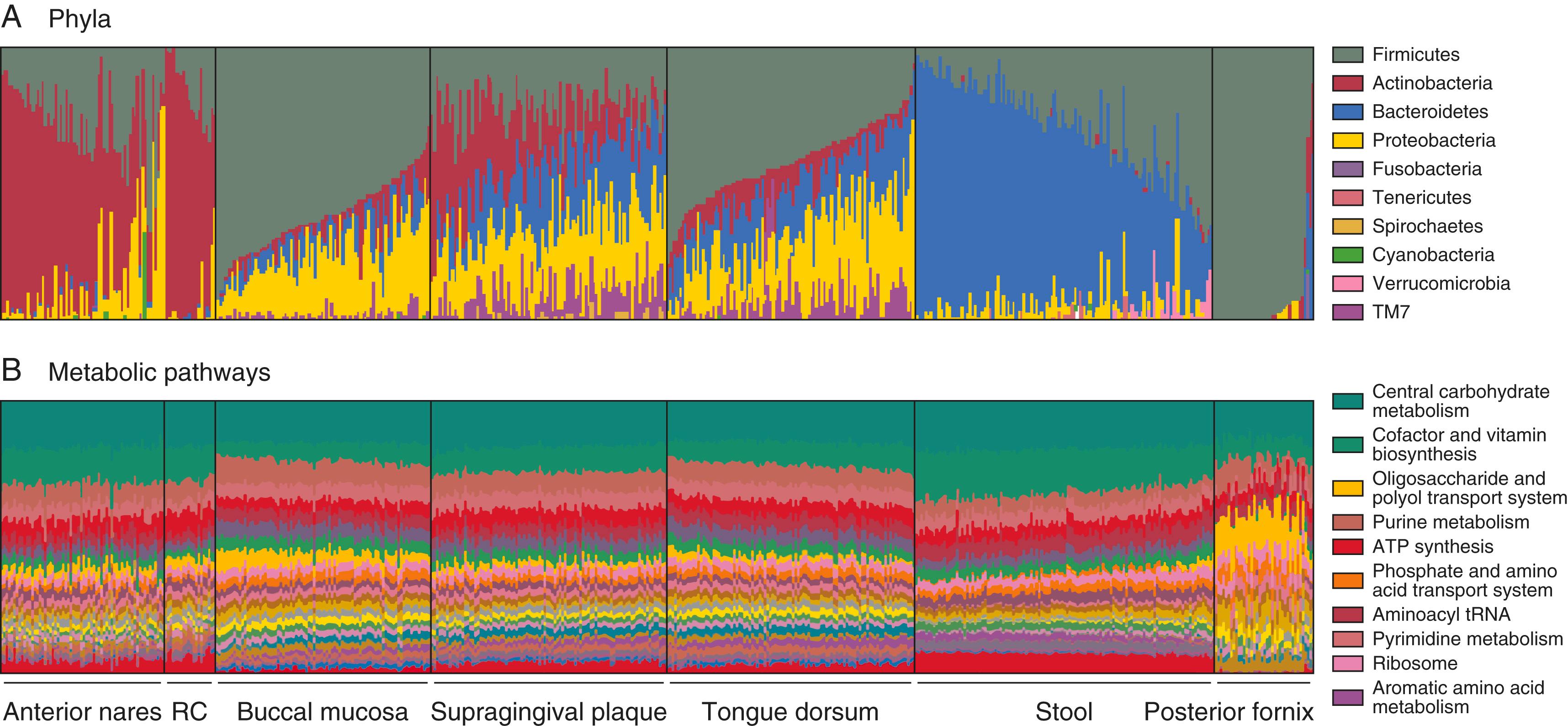 E-FIGURE 257-3, Comparison of the microbial composition (A) and predicted function (B) of the microbiota from seven different body sites of healthy individuals from the Human Microbiome Project.