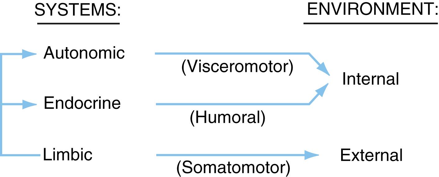 Fig. 30.1, The interrelationships among the autonomic, endocrine, and limbic systems. All three systems are under the control of the hypothalamus.