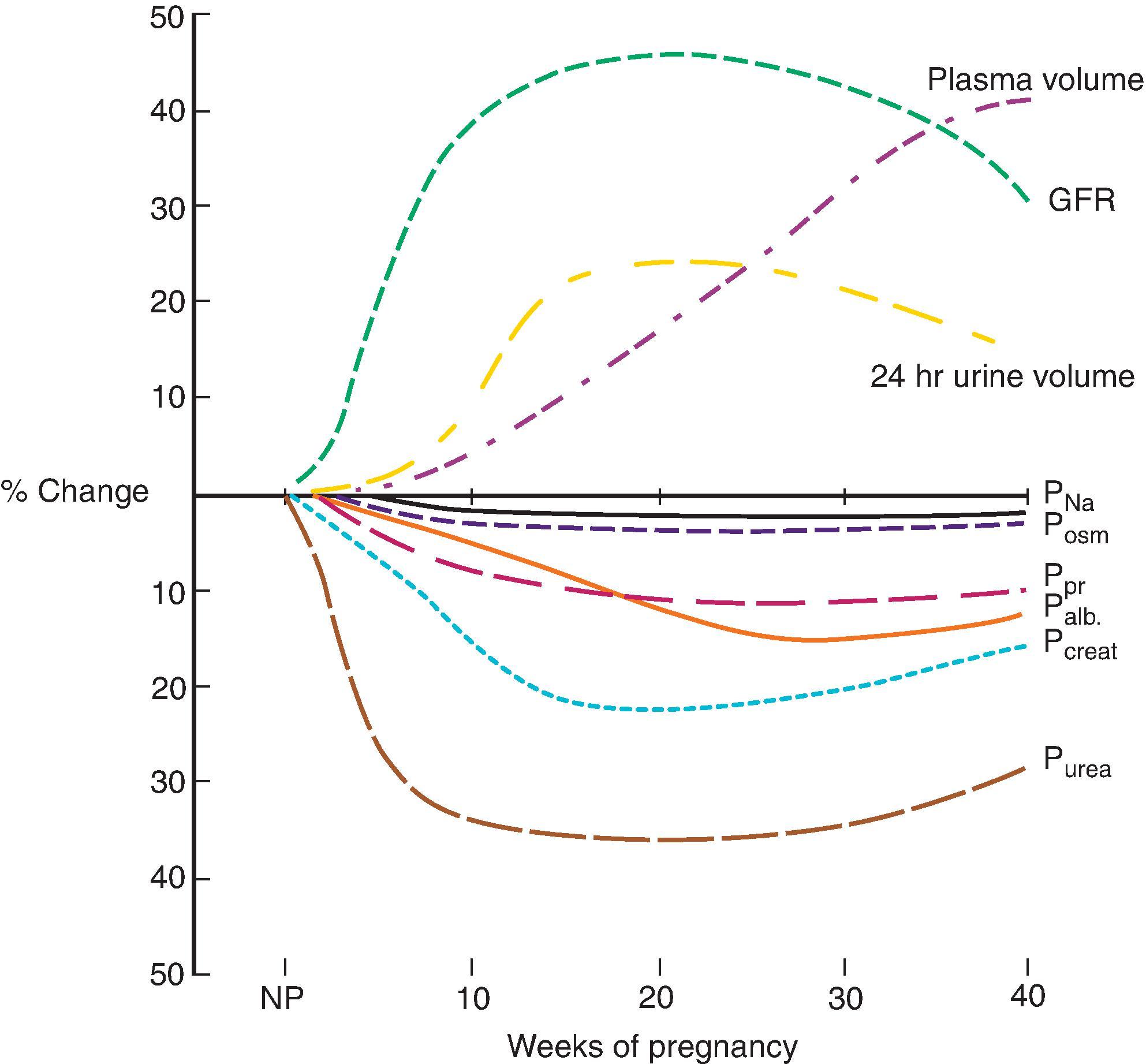 Fig. 47.1, Physiologic changes induced in pregnancy. Increments and decrements in various parameters are shown in percentage terms with reference to the nonpregnant baseline. GFR, Glomerular filtration rate; NP, nonpregnant; P alb , plasma albumin; P creat , plasma creatinine; P Na , plasma sodium; P osm , plasma osmolality; P pr , plasma proteins; P urea , plasma urea. (From Davison JM. The kidney in pregnancy: a review. J Royal Soc Med. 1983;76:485–500.)