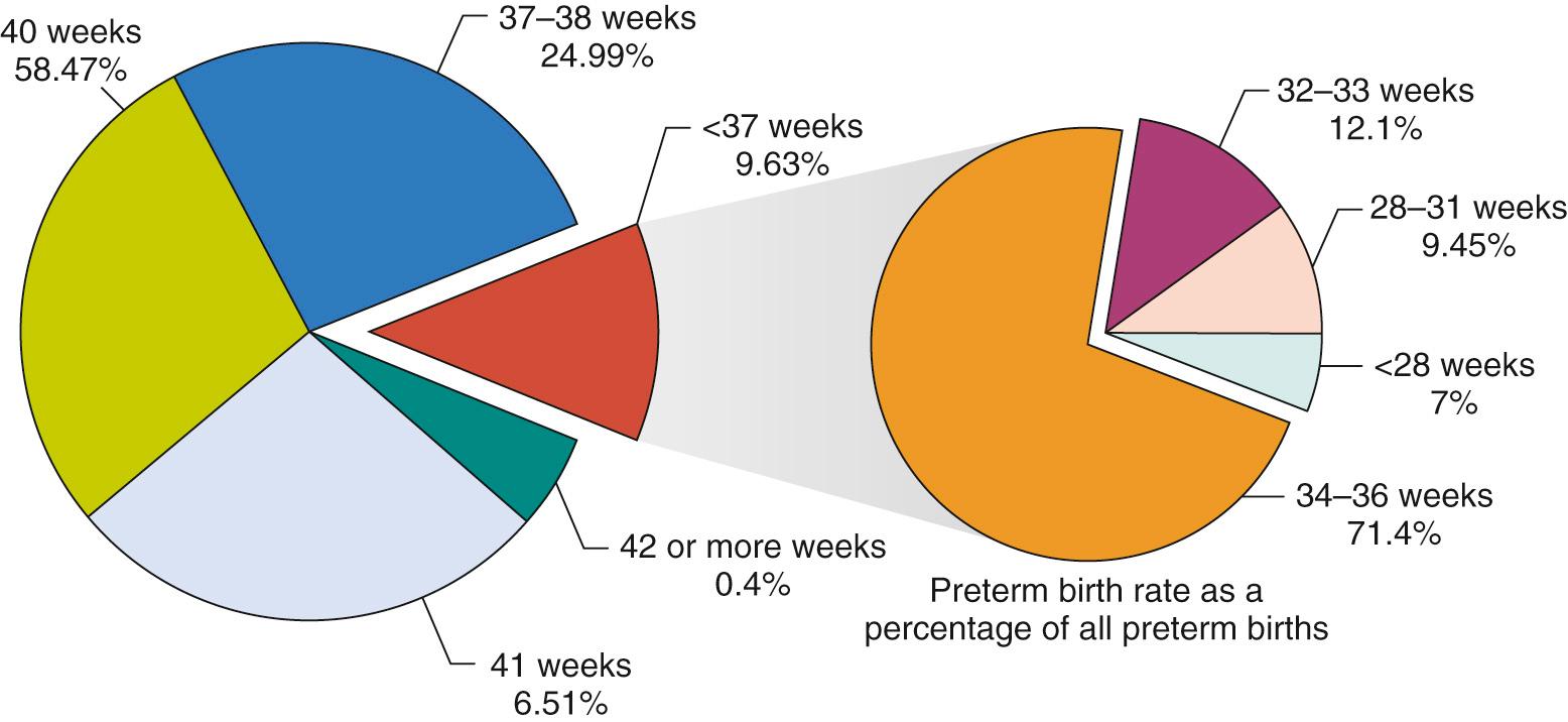 Fig. 40.3, Birth rate by gestational age as a percentage of all live births in the United States, 2007-2015.