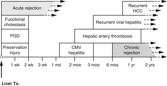 Fig. 16.1, Timeline of pathological lesions after liver transplantation.