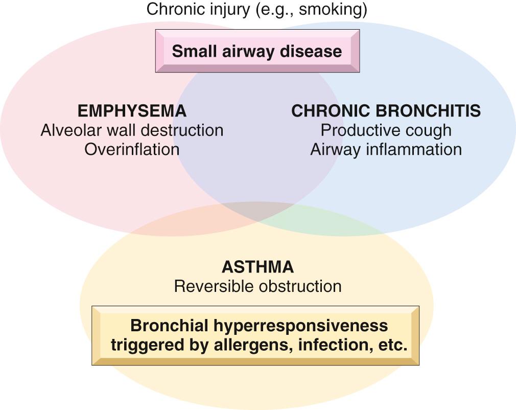 Figure 15.5, Schematic representation of overlap between chronic obstructive lung diseases.