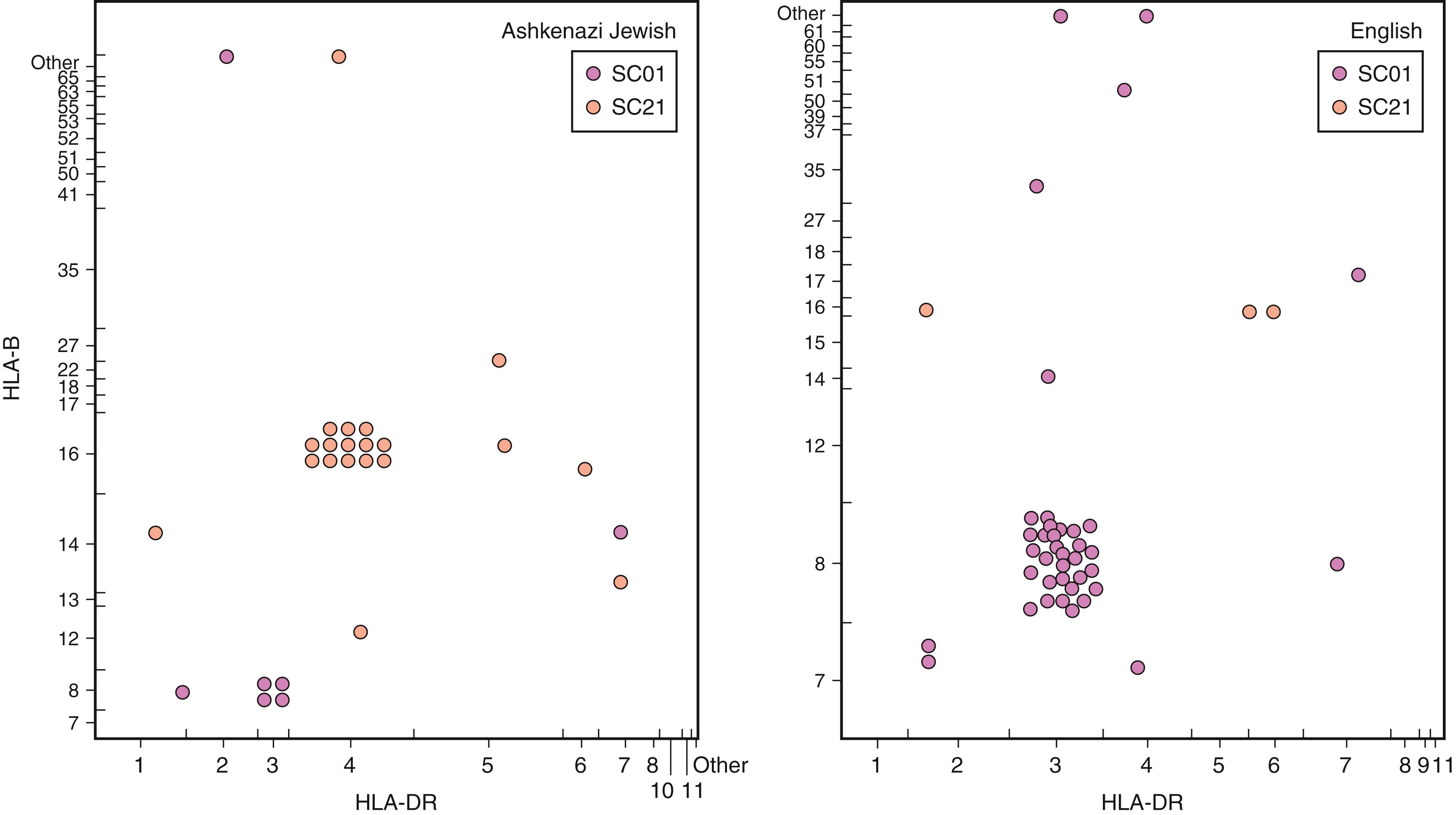 Fig. 51.2, The haplotype distribution of the complotypes (haplotypes of complement alleles) SC01 (CFB∗S, C2∗C, C4A∗QO, C4B∗1) and SC21 (CFB∗S, C2∗C, C4A∗A, C4B∗1) in relation to HLA-B alleles on the ordinate and HLA-DR alleles on the abscissa. Heights and widths representing HLA specificity are proportional to allele frequencies for the respective populations. Clustering represents linkage dysequilibrium and flags the extended haplotypes [HLA-B16(38), SC21, DR4] in Ashkenazi Jews [HLA-B8, SC01, DR3] and in the English and, to a much lesser extent, among Jews. HLA, Human leukocyte antigen.