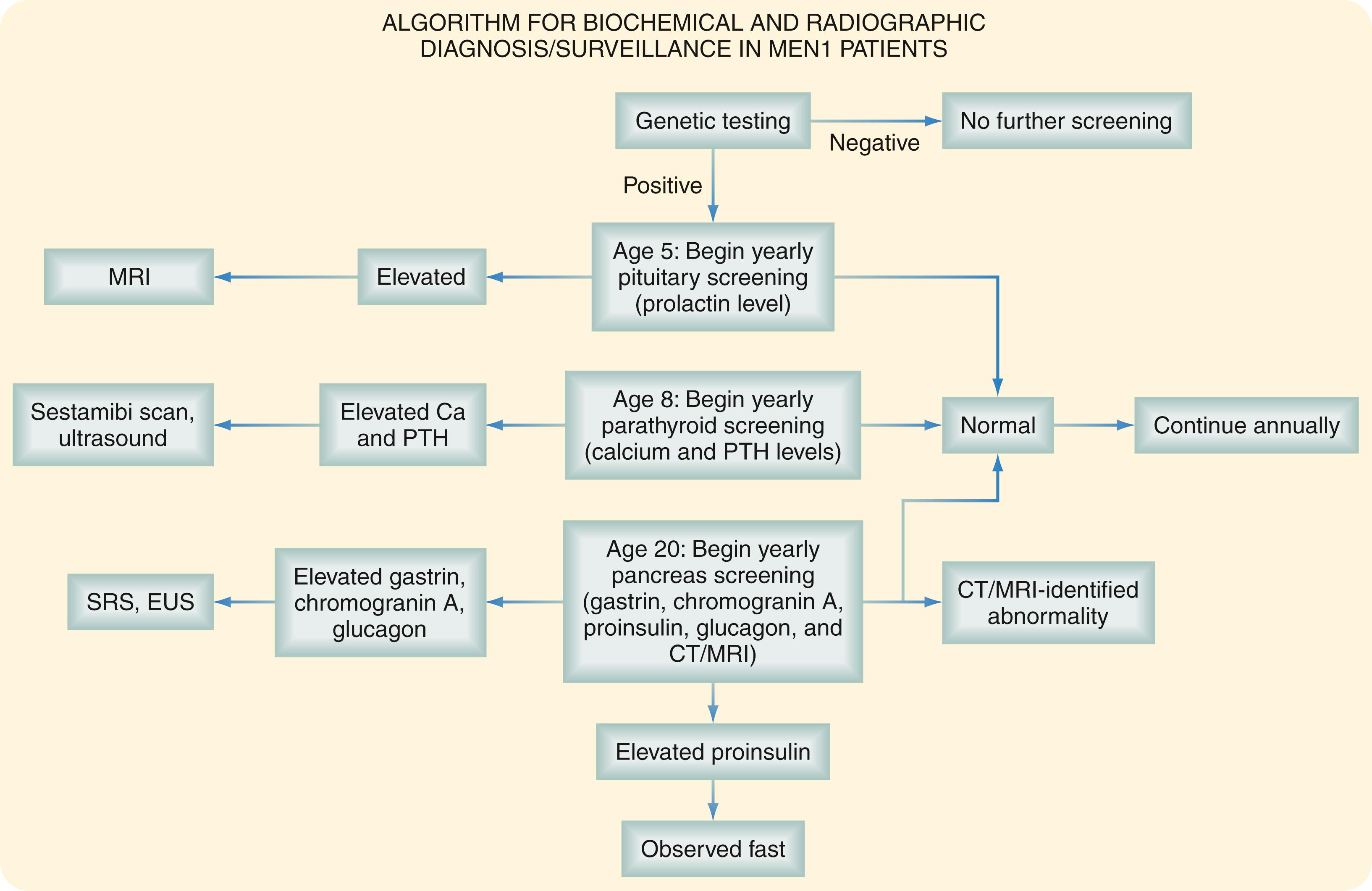 Fig. 41.2, Algorithm for screening and management in multiple endocrine neoplasia type 1 ( MEN1 ) syndromes.