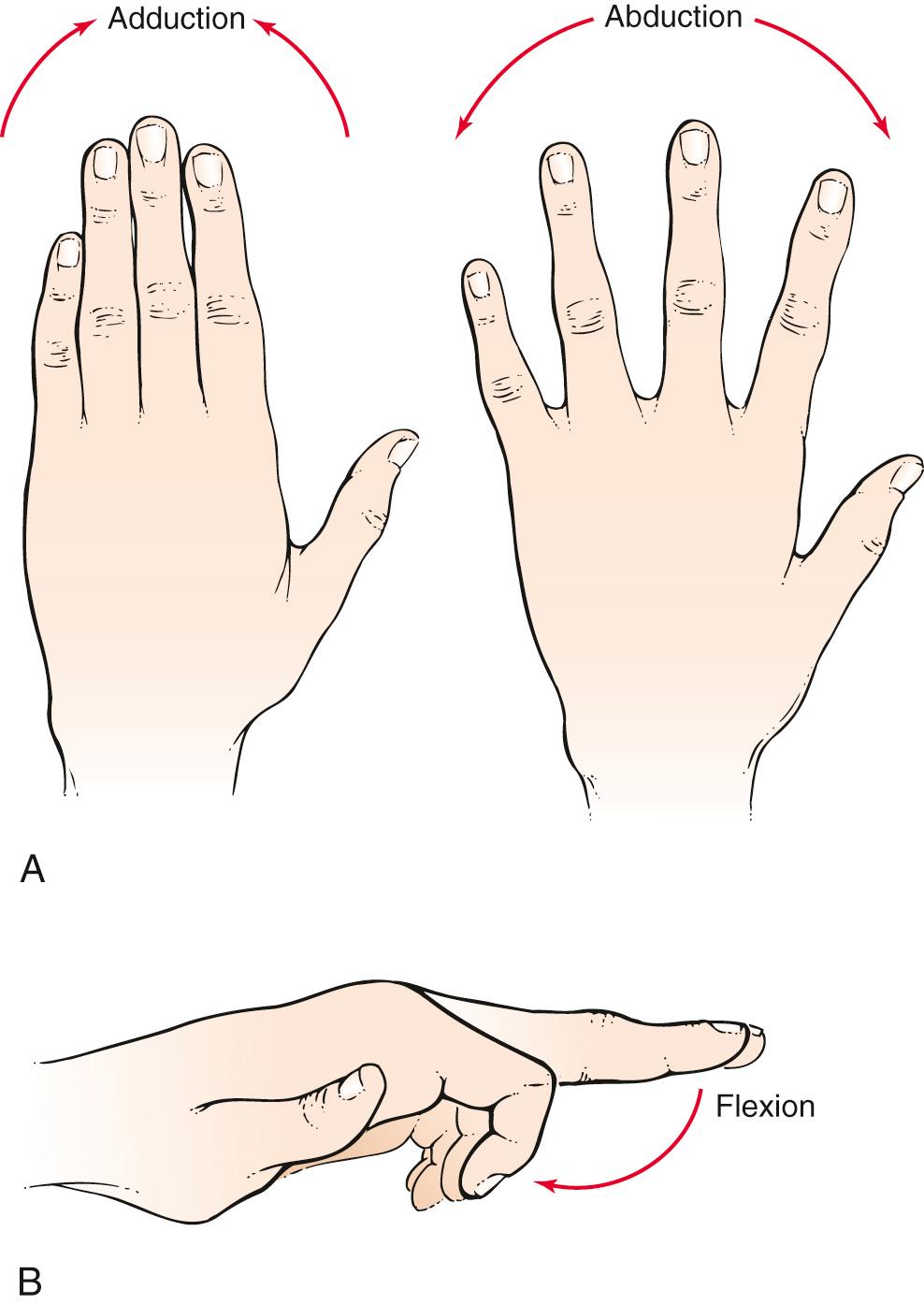 Fig. 20.11, Range of Motion at the Finger Joints.