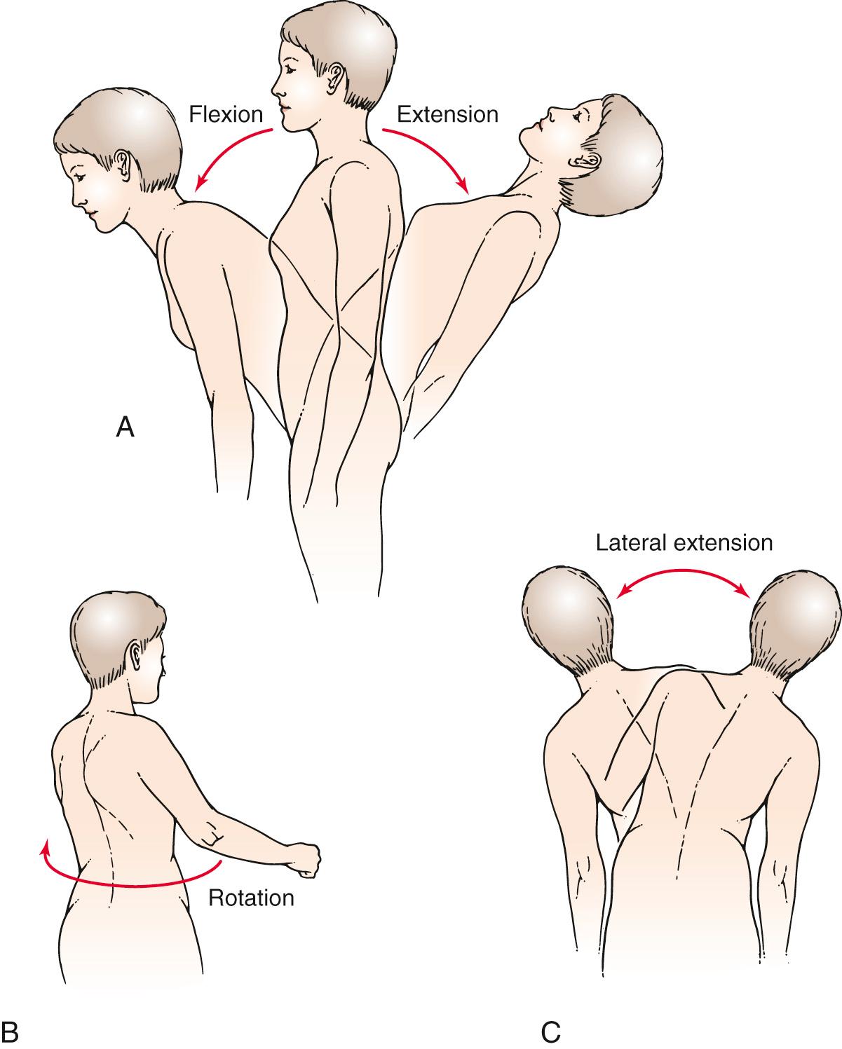 Fig. 20.22, Range of Motion at the Lumbar Spine.