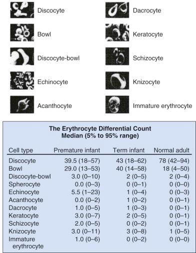 Figure 2-1, Varied morphology associated with neonatal smears.